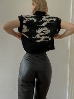 DragonVest_Leoniealma3.jpg